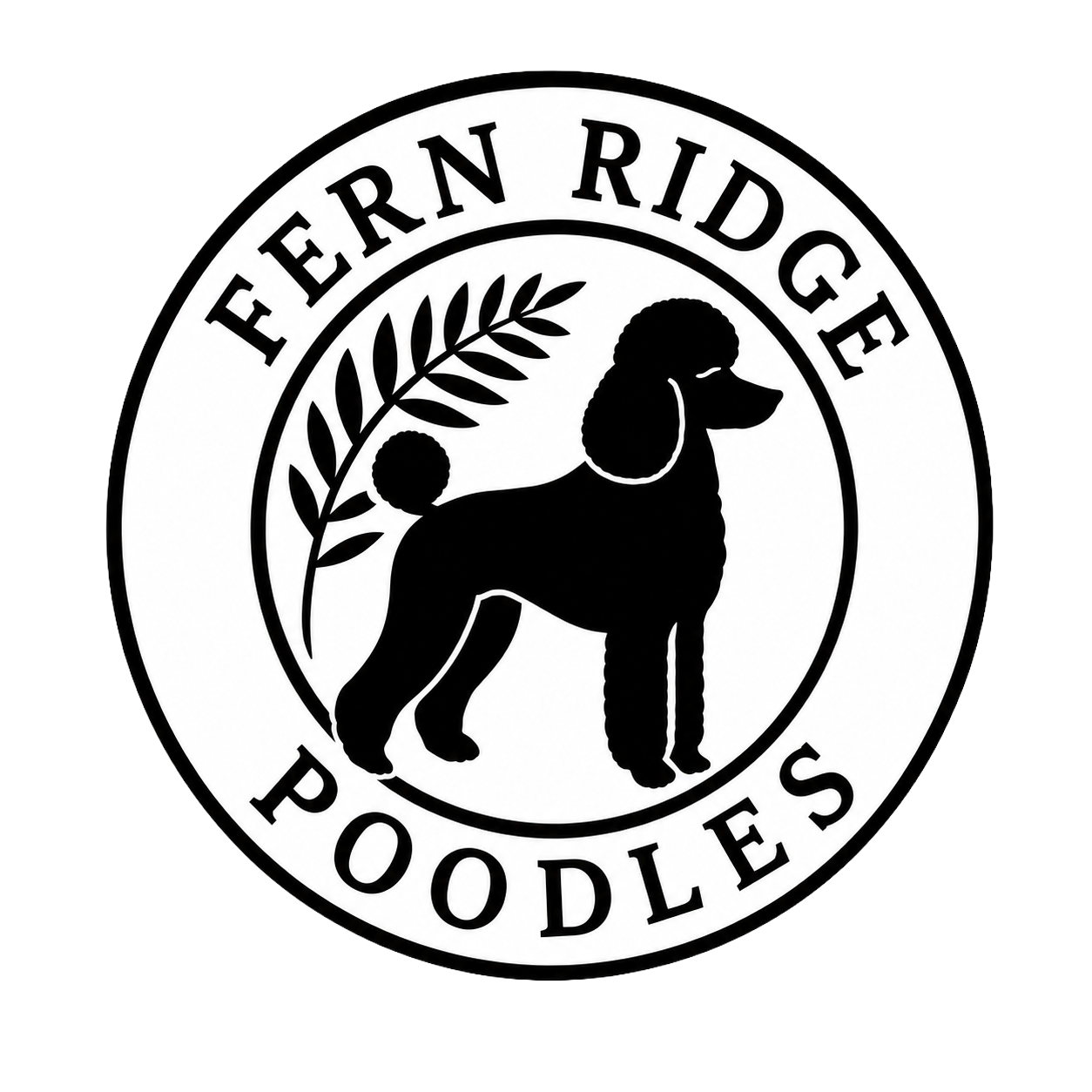 Fern Ridge Poodles